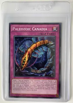 YUGIOH - Paleozoic Canadia - TDIL-EN097 - Common - 1st Ed NM - Image 1