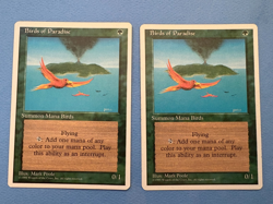 MTG 5th Edition, Birds of Paradise x 2! 1997 Vintage Magic! - Image 1