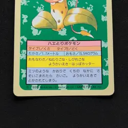 Victreebel Topsun Blue Back 071 Bandai 1995 Pokemon Card Japanese #21 - Image 3