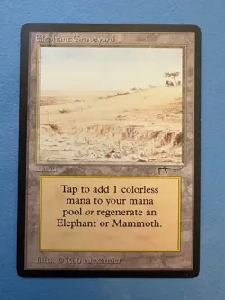 MTG Arabian Nights Edition, Elephants Graveyard! 1993 Vintage Magic! - Image 1
