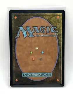 MTG Vivi Ornitier (Borderless) (Chocobo Track Foil) Final Fantasy Foil M 0570 - Image 2