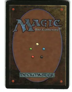 Magic the Gathering - Revised Edition Northern Paladin 1994 Rare - Image 2