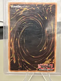 Yugioh! - Rare - Winged Kuriboh LV10 [DP1-EN006] - Image 3