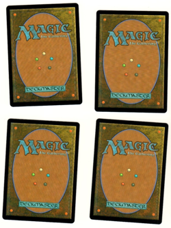 Set Of 4 MTG Plains 262 Full Art Wilds Of Eldraine Land Set - Image 2