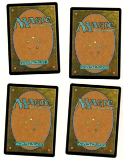 Set Of 4 MTG Plains 262 Full Art Wilds Of Eldraine Land Set - Image 4