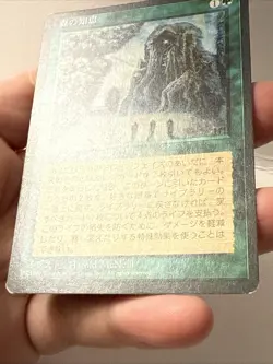 Sylvan Library Japanese LP [FBB 4th Edition] Mtg Magic Trading Card - Image 4