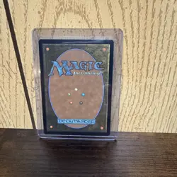 MTG Spider-Man Spectacular Spider-Man (Borderless) Foil #0014 - Image 2