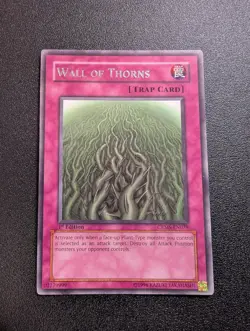 Wall of Thorns CRMS-EN079 Rare 1st Edition LP - Image 1