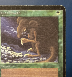 MtG Alpha Edition: Giant Growth - Image 3