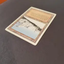 MTG Magic the Gathering Taiga Revised Edition Dual Land - Image 4