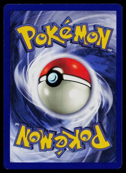 Pokemon Card - Dragonite #5 Black Star Promo WoTC WB Movie LP - Image 2
