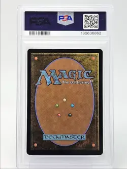 TIFA, MARTIAL ARTIST 2025 MAGIC MTG BORDERLESS SURGE FOIL PSA 10 Q6095 - Image 2