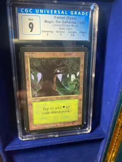 MTG BETA Forest (Eyes) CGC 9 MINT, with sub grades, 1993 - Image 2