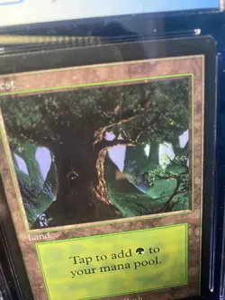 MTG BETA Forest (Eyes) CGC 9 MINT, with sub grades, 1993 - Image 4
