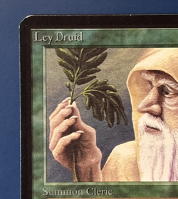 MtG Alpha Edition: Ley Druid - Image 2