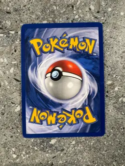 Pokemon TCG Cards Eevee 11 WOTC Black Star Promo Holo NM - Image 2