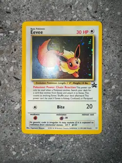 Pokemon TCG Cards Eevee 11 WOTC Black Star Promo Holo NM - Image 3