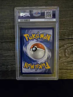 Pokemon TCG Squirtle 148/142 Stellar Crown Illustration Rare PSA 8 - Image 2
