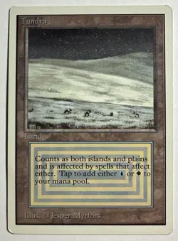 Magic the Gathering Dual Land - Tundra (Unlimited) Card - Image 1