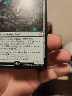 Badgermole Cub MTG Avatar Magic The Gathering 167 - Image 4