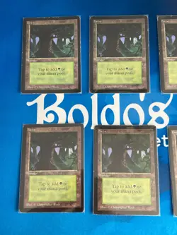 MTG Set of 10 Beta Limited Forest Version C Magic: The Gathering Played - Image 2