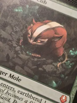 MTG - Badgermole Cub, Avatar the Last Airbender, Non-Foil, NM+ #0167 - Image 2