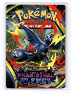 Phantasmal Flames Insert - Build and Battle - Heracross - Image 1