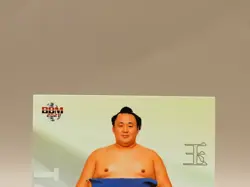 Tamawashi Ichiro 2021 BBM Sumo Wrestling Card Japanese S505 - Image 3
