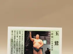 Tamawashi Ichiro 2021 BBM Sumo Wrestling Card Japanese S505 - Image 5
