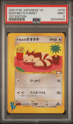 PSA 9 Whitney's Furret 018 1st Edition Pokemon VS Japanese Exclusive 2001 - Image 1