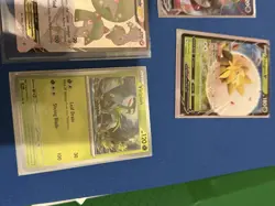 Pokemon Card Lot! Selling As A Bulk Come See!! Gotta Catch Them All - Image 1
