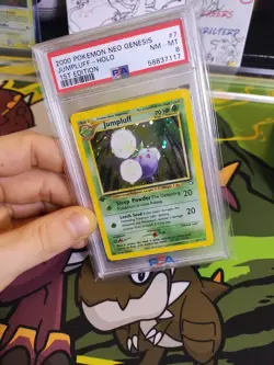 Jumpluff Neo Genesis 1st Edition Holo #7 PSA 8 NM-MT 2000 Vintage Pokemon 7/111 - Image 5