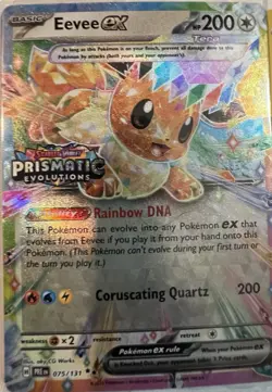 Pokemon TCG Card Lot! 17 Eevee Cards Graded 10 9 & NM! Eevolution JPN-CHN-ENG! - Image 5