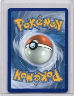 Pokemon Card - Charizard V - SWSH050 - Promo Sword & Shield - 2020 - Image 2