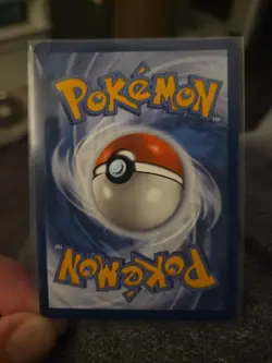 Morpeko 206/182 SV04 Paradox Rift Holo Pokemon TCG Near Mint - Image 2