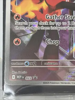 Pokemon Charcadet 022 ETB Black Star Promo - Phantasmal Flames - NM SEALED - Image 5