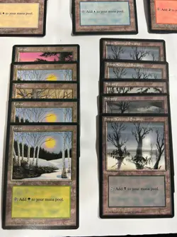 MTG Set of 25 Ice Age Basic Lands with 5 of each land Magic Land Mana - Image 4