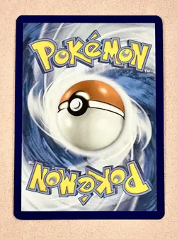 Raboot | 147/142 | Stellar Crown | 2024 Pokemon Illustration Rare | NM - Image 2
