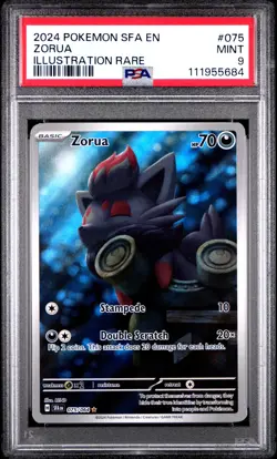 2024 POKEMON SFA EN-SHROUDED FABLE ILLUSTRATION RARE #075 ZORUA PSA 9 - Image 1