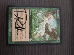 Seedtime Judgement Card X 3 Signed By Artist Rebecca Guay Magic The Gathering - Image 4
