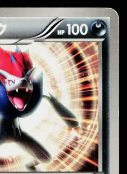 ZOROARK 024/BW-P BLACK & WHITE PROMOS JAPANESE POKEMON TCG - Image 3