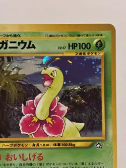 Pokemon TCG Meganium Neo Genesis Holo Card No.154 Japanese Edition LP - Image 5