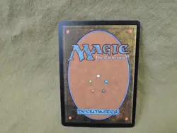 Magic the Gathering: Rule of Law - Image 2