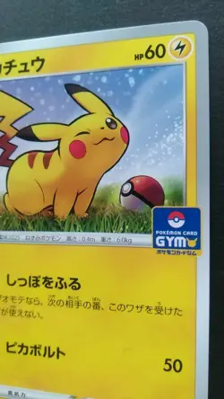 Pikachu Pokemon Card Japanese Rare Game Nintendo 024/S-P Promo GYM - Image 5