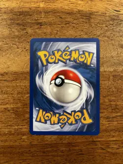 Swinub - 108/144 Pokemon Card Skyridge - WOTC - NM - Image 2