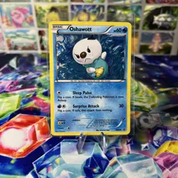 Pokemon - Oshawott - BW08 - Black and White Promo - Holo LP - Image 1