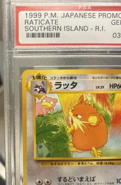 Pokemon Japanese Promo Southern Islands 020 Raticate 1999 20 PSA 10 42479986 - Image 2