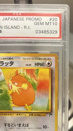 Pokemon Japanese Promo Southern Islands 020 Raticate 1999 20 PSA 10 42479986 - Image 3