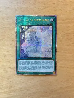 Witch of the White Forest (Quarter Century Secret Rare) ALIN-EN058 1st Edition - Image 1