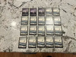 Mtg Full Art Snow Covered Land Lot x20 - Magic The Gathering Full Art Snow Lands - Image 1